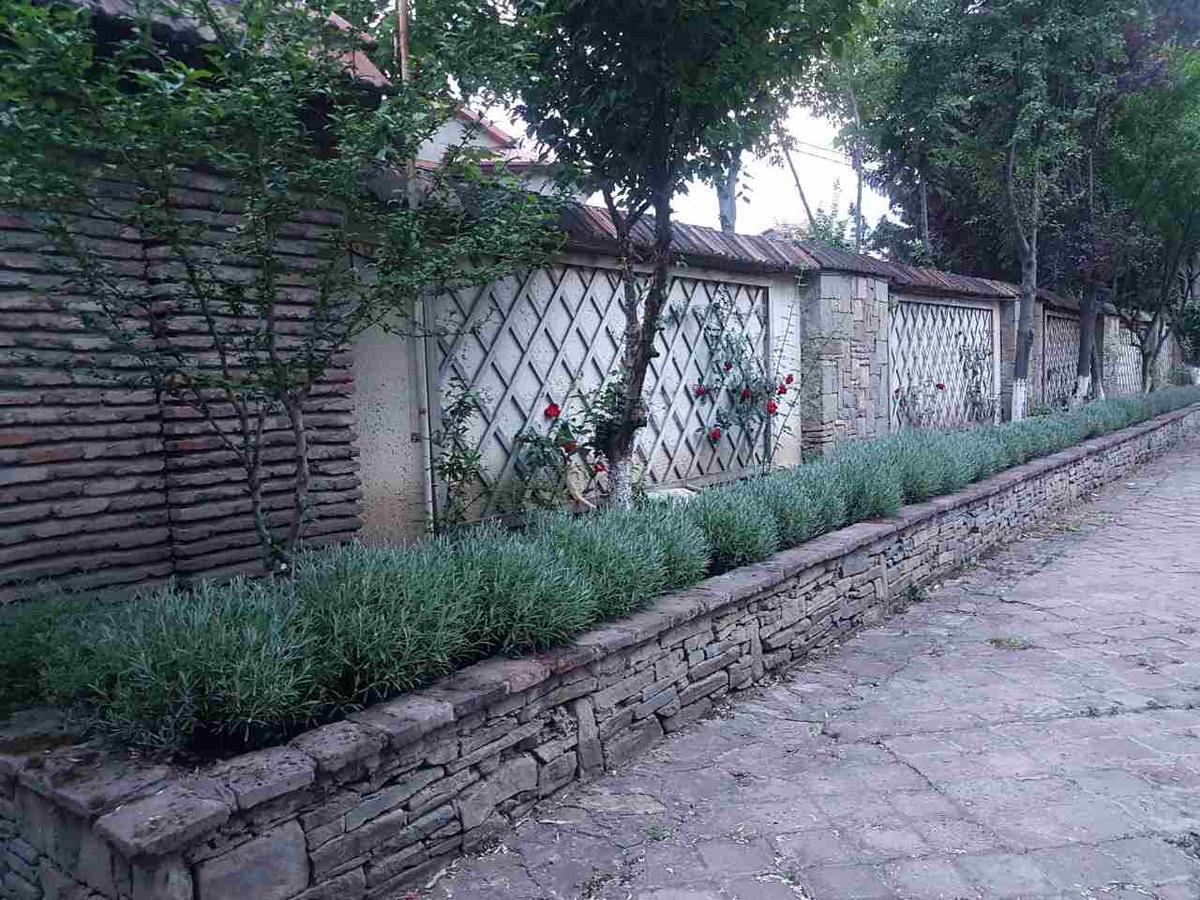 Rare House With Garden Tbilisi Exterior foto