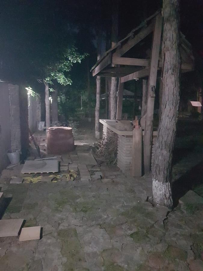 Rare House With Garden Tbilisi Exterior foto