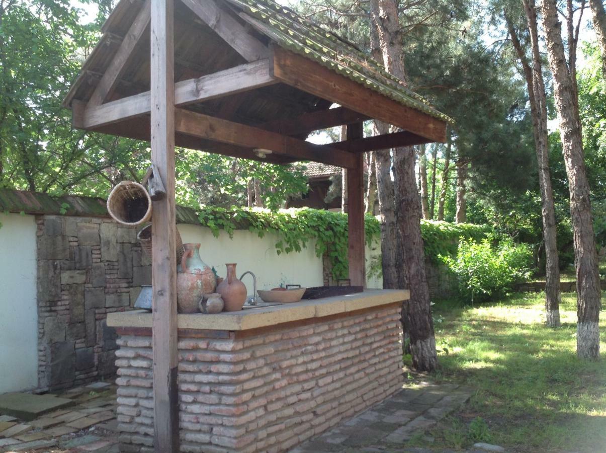 Rare House With Garden Tbilisi Exterior foto